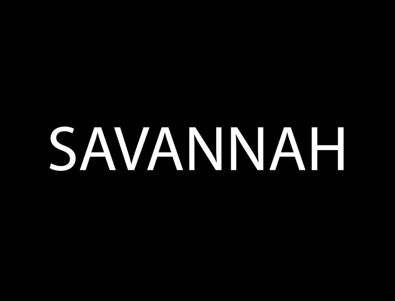 Savannah Metis Lighting Clients